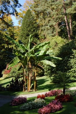 Stadtgarten Überlingen