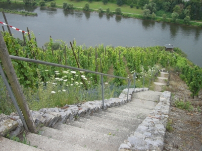 Treppe zur Mosel