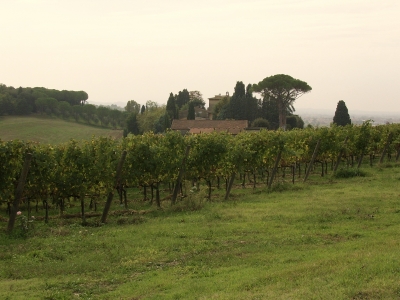 Toscanische Landschaft