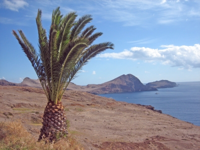 Blick auf São Lorenço