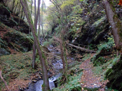 Bachlauf mit Holzbrücke