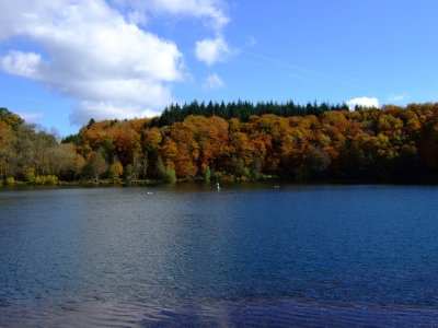 See im Herbstwald