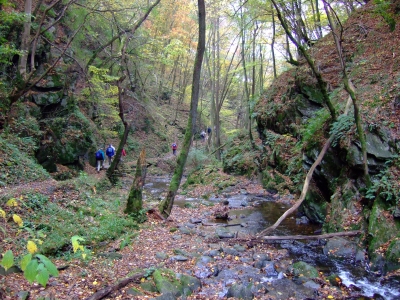 Wanderer im herbstwald