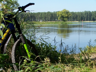 Radtour an der Elbe