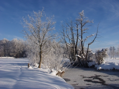 Schmutter im Winter