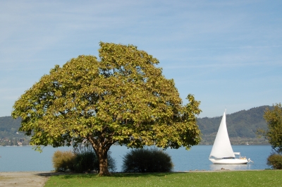 Die Promenade von Bodman