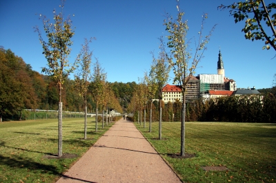 Schlosspark und Schloss Weesenstein