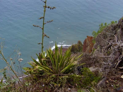 Blick von Madeira