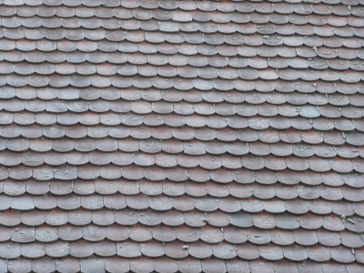 Biberschwanz Dachplatten im frost 1