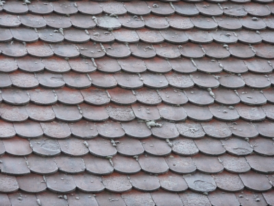 Biberschwanz Dachplatten 2