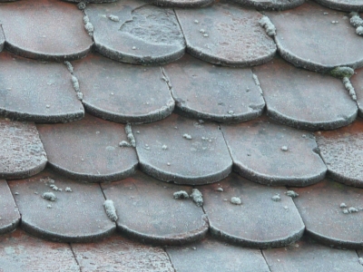 Biberschwanz Dachplatten 3 im frost