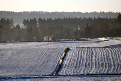 Holztransport