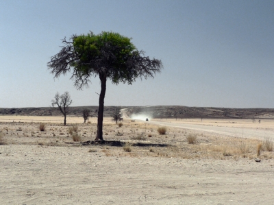 Schotterpiste durch die Namib