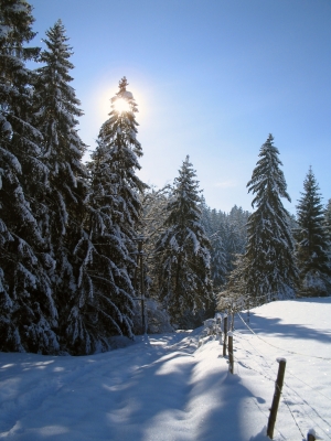 Winter im Allgäu