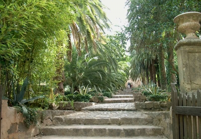 Treppeneingang in Alfabia