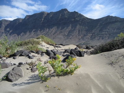 Lanzarote - Playa de Famara