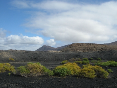 Lanzarote - Laguna de Janubio_1