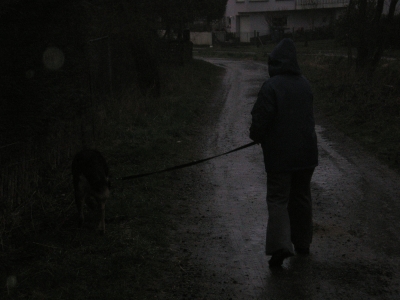 Spaziergang im Regen