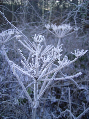 Eiszeit