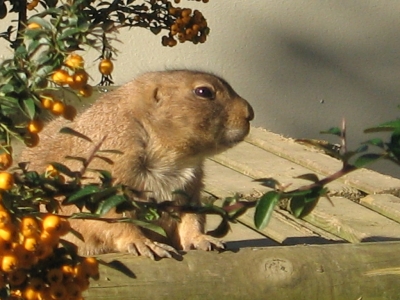 aus dem Tierpark