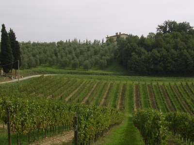 Landschaft in der Toscana