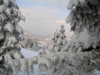 prättigau