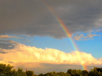 Regenbogen