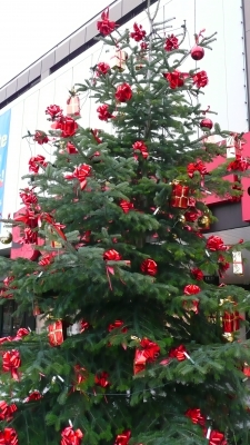 Weihnachtsbaum