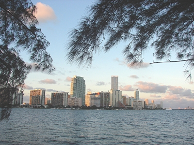 Miami Skyline