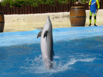 Tanz auf dem Wasser