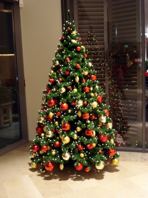 Weihnachtsbaum - Weihnachtszeit - Vorweihnachtszeit