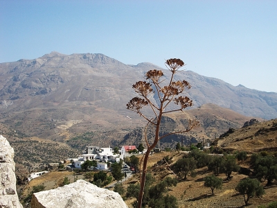 Ein Dorf im Süden Kretas