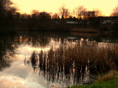 Abenddämmerung am stillen See