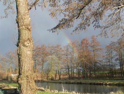 Regenbogen