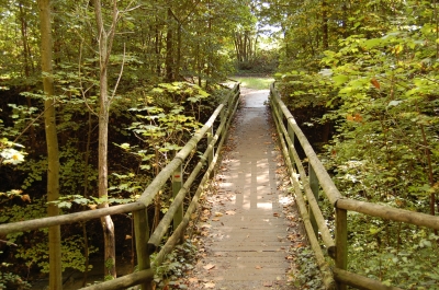 Einfache Holzbrücke im Wald
