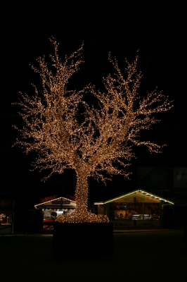 Der etwas andere Weihnachtsbaum
