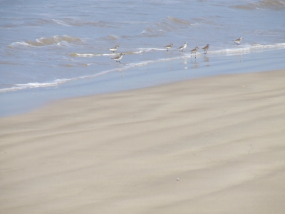 Strandspaziergang