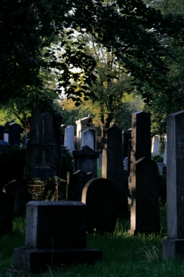 Friedhof 8