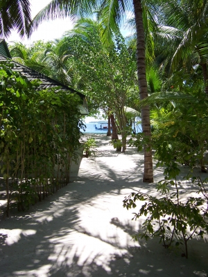 Lillybeach Resort I