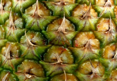 Ananas 2