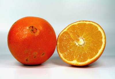 Apfelsine 2