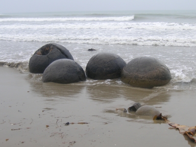 Moeraki boulders New zealand