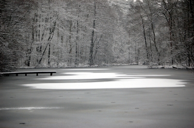 Winterlicher See im Wald