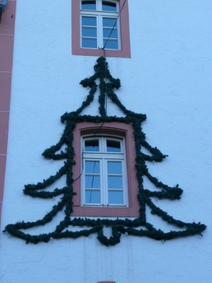 Tannenbaum am Fenster