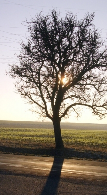 Sonnenuntergang