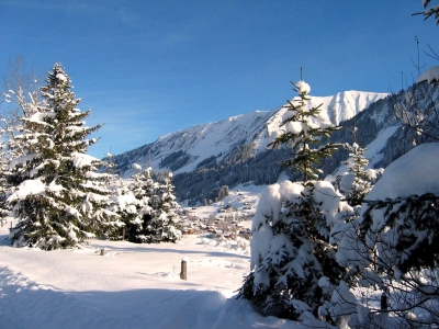 Winterlandschaft im Kleinwalsertal