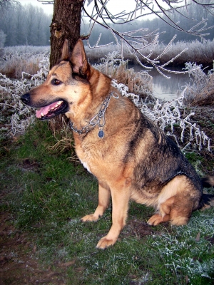 Winterspaziergang mit Leika