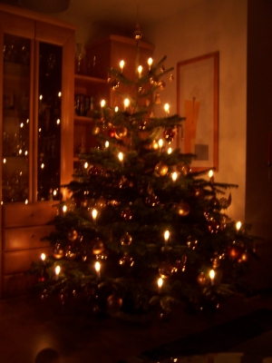 Weihnachtbaum
