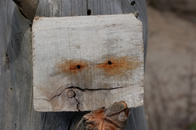 Baumskulptur