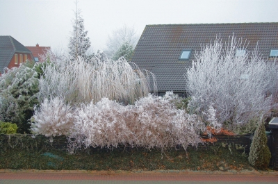 Wintergarten